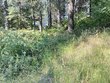  loon lake,  WA 99148