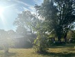  brighton,  IL 62012