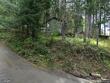 packwood,  WA 98361