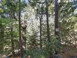  idyllwild,  CA 92549