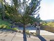  walnut creek,  CA 94596