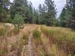  valley,  WA 99181