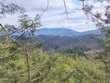 sevierville,  TN 37876