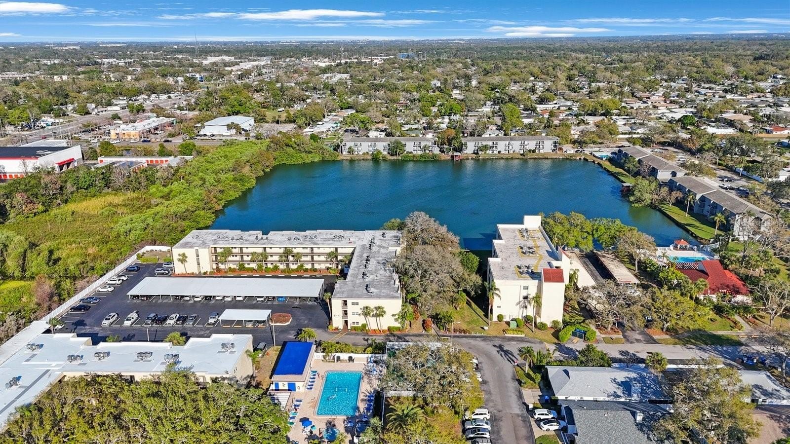  largo,  FL 33774