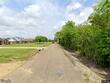 carencro,  LA 70520