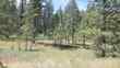  deer park,  WA 99006
