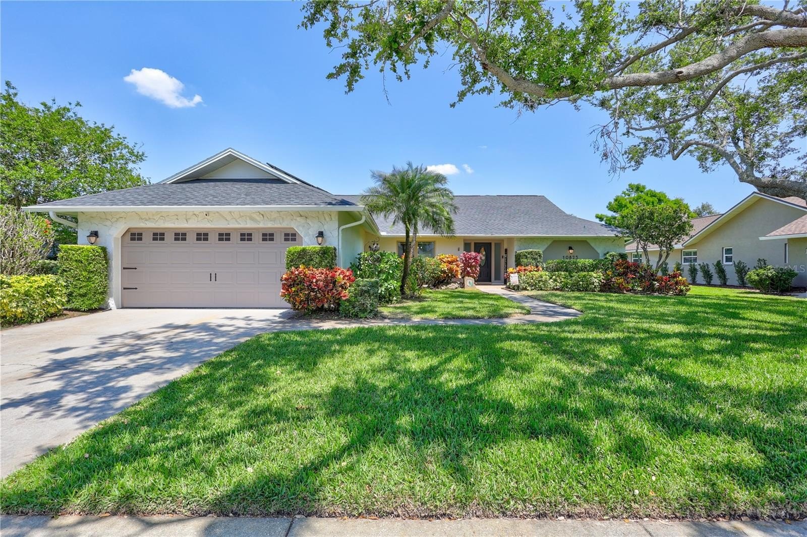  largo,  FL 33774
