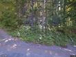  packwood,  WA 98361