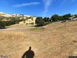  walnut creek,  CA 94598