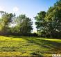  nicholasville,  KY 40356