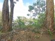  makawao,  HI 96768