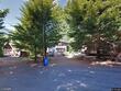  packwood,  WA 98361