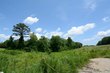  greer,  SC 29651