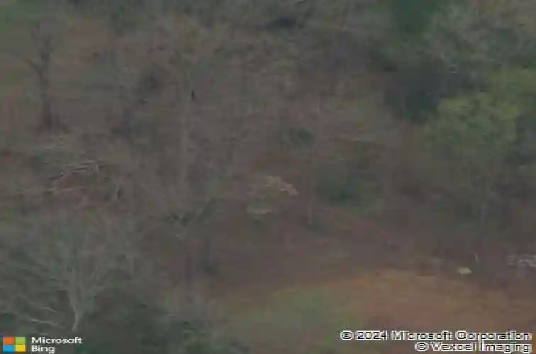  sevierville,  TN 37876