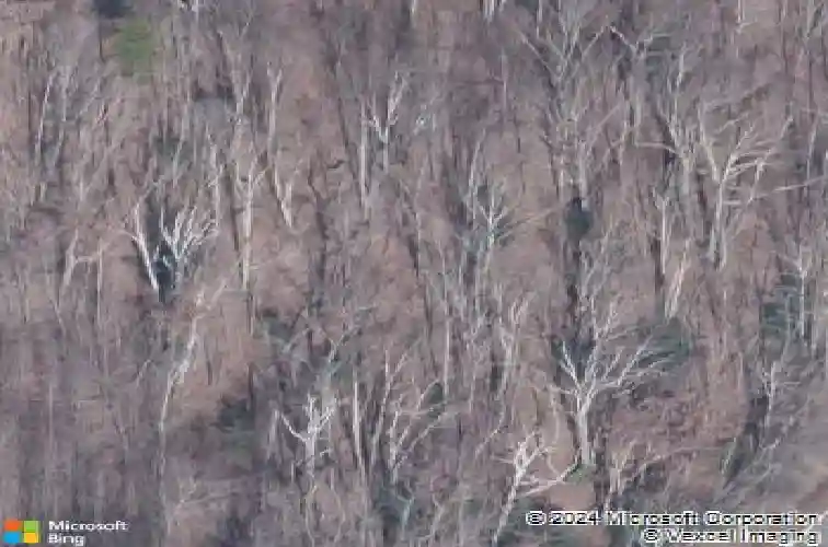  lookout mountain,  GA 30750