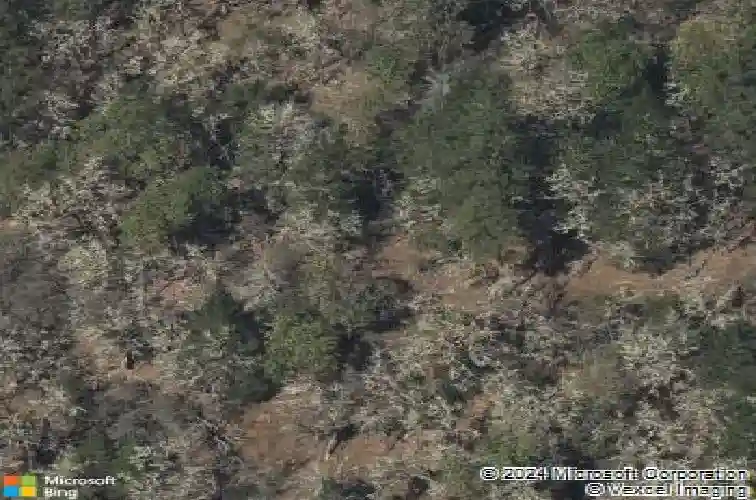  grants pass,  OR 97527