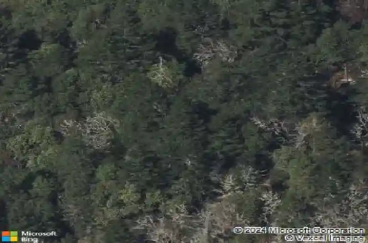  grants pass,  OR 97527