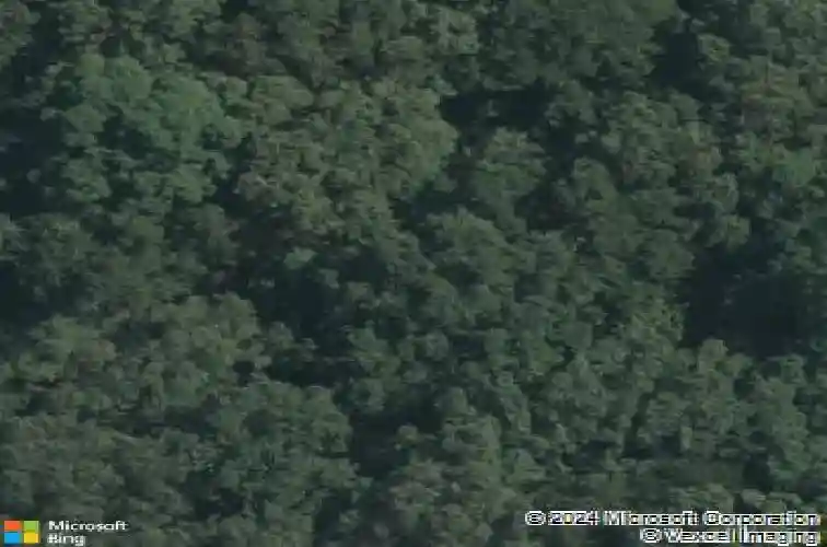  olive branch,  MS 38654