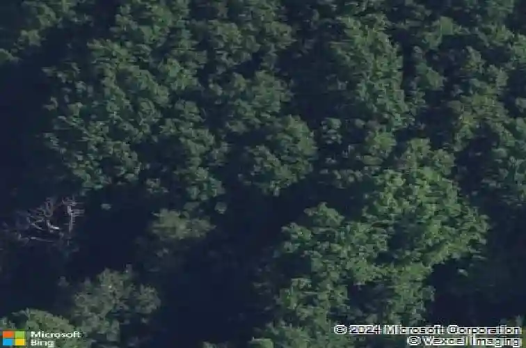  youngstown,  OH 44515