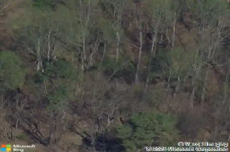  knoxville,  TN 37919