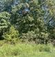  fordland,  MO 65652