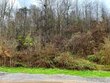  knoxville,  TN 37931