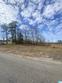  brookwood,  AL 35444