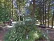  packwood,  WA 98361