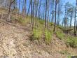  sevierville,  TN 37862